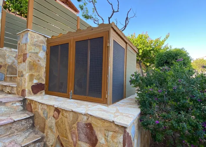 Searestkanakia Kanakia